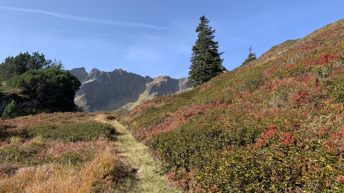 Barbara Steinemann, CC BY-SA 4.0 <https://creativecommons.org/licenses/by-sa/4.0>, via Wikimedia Commons Pass Grosser St. Bernhard: Soumei Baba, CC BY 2.0 <https://creativecommons.org/licenses/by/2.0>, via Wikimedia Commons Barbara Steinemann, CC BY-SA 4.0 <https://creativecommons.org/licenses/by-sa/4.0>, via Wikimedia Commons Pass Grosser St. Bernhard: Soumei Baba, CC BY 2.0 <https://creativecommons.org/licenses/by/2.0>, via Wikimedia Commons